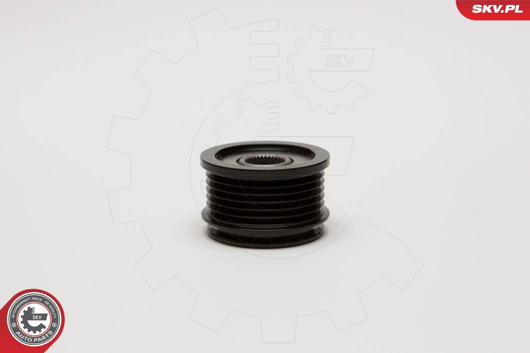Alternator Freewheel Clutch